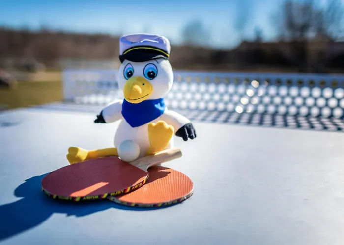 Lagovida Moewenblick C Am Stoermthaler * グロースペスナ